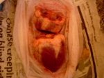 Head Food Ingredient Human body Jaw