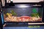 Pet supply Wood Plant Kitchen Rectangle