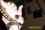 Gesture Snake Reptile Temporary tattoo Nail