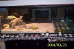 Building Display case Display device Room Wood