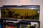Pet supply Wood Rectangle Plant Aquatic plant